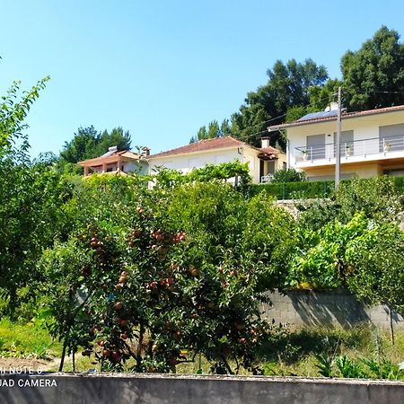 Bellavista Alojamento 阿鲁卡 外观 照片